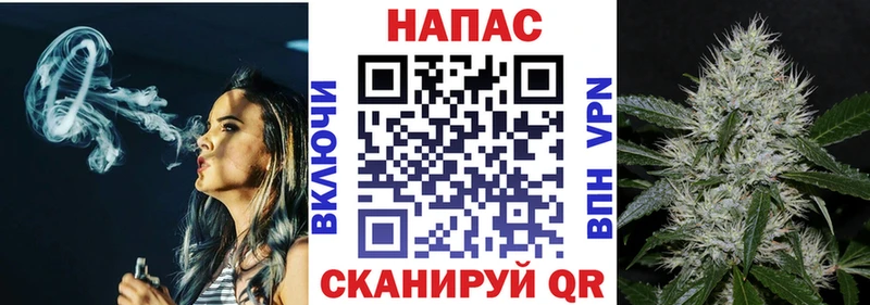 Как найти наркотики Новокубанск ГАШ  A PVP  Псилоцибиновые грибы  Меф мяу мяу  АМФЕТАМИН 