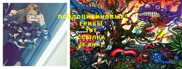 мяу мяу кристалл Богданович