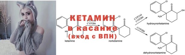 МДПВ Богородицк